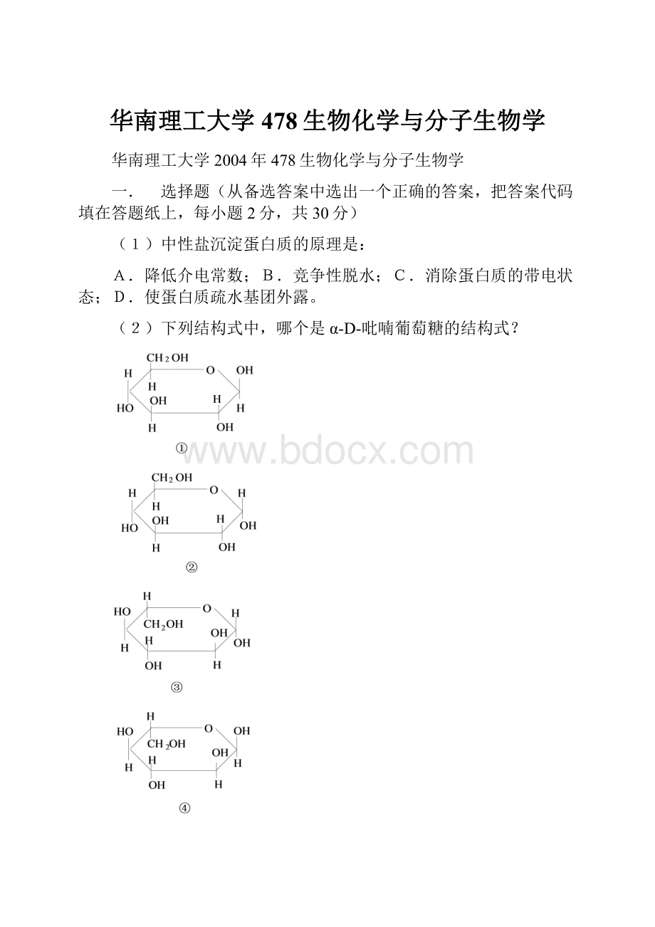 华南理工大学478生物化学与分子生物学Word文档格式.docx