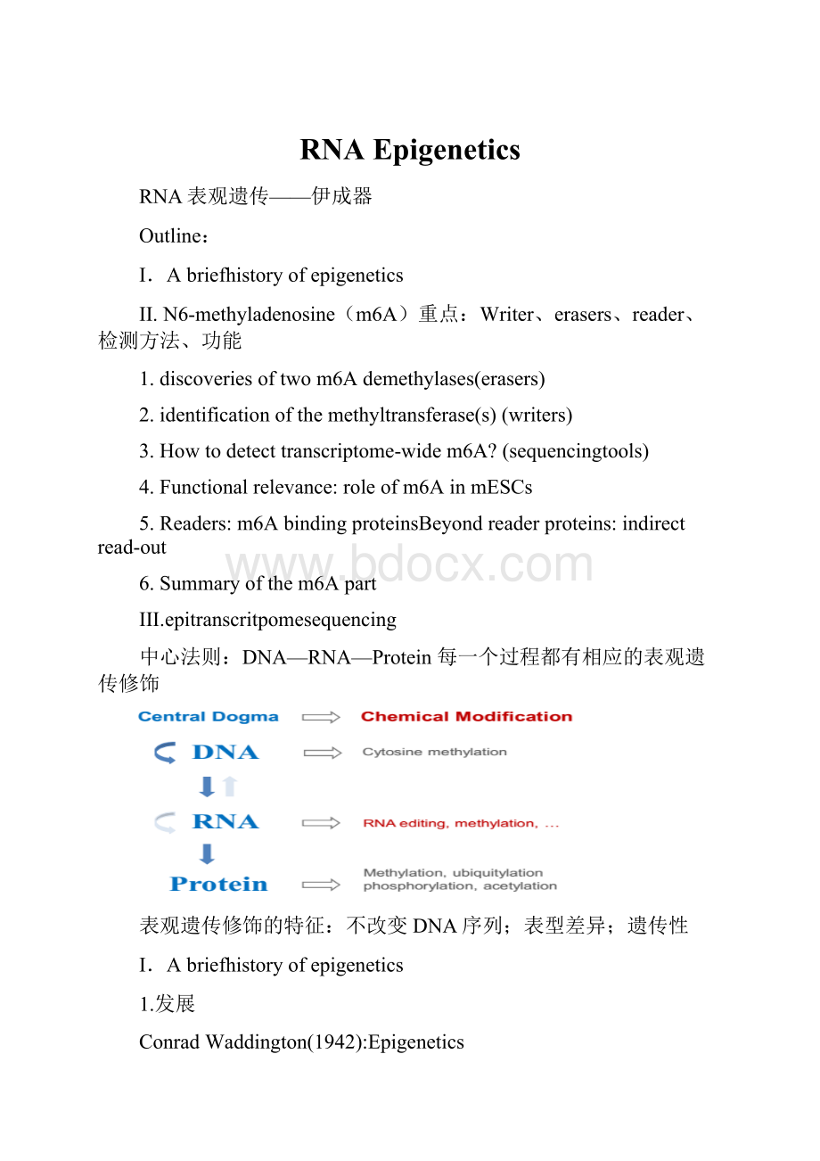 RNA EpigeneticsWord文档格式.docx