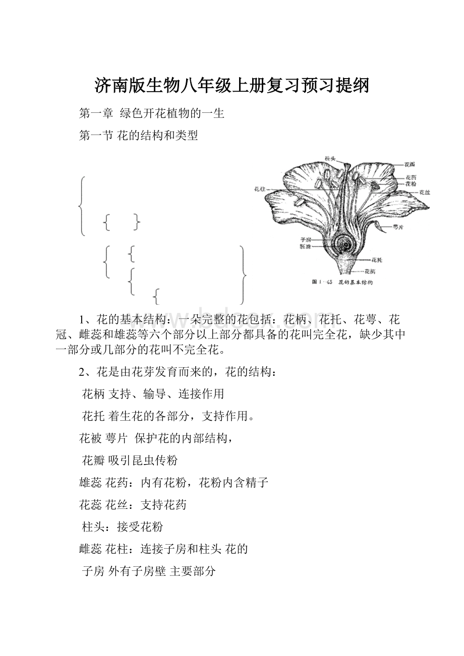 济南版生物八年级上册复习预习提纲文档格式.docx