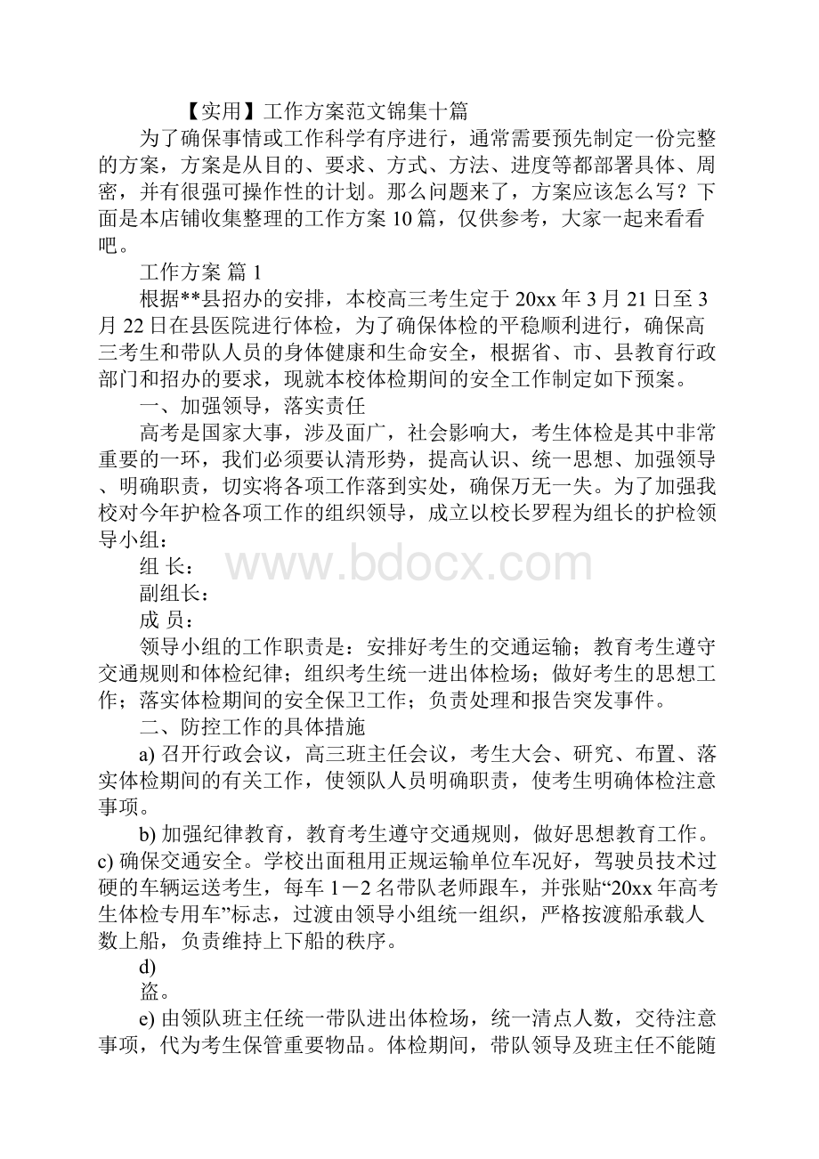 工作方案样本.docx_第2页