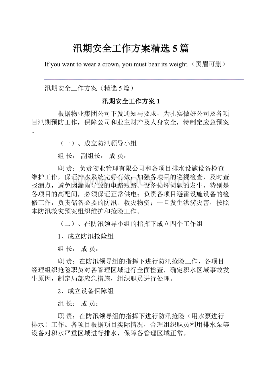 汛期安全工作方案精选5篇.docx