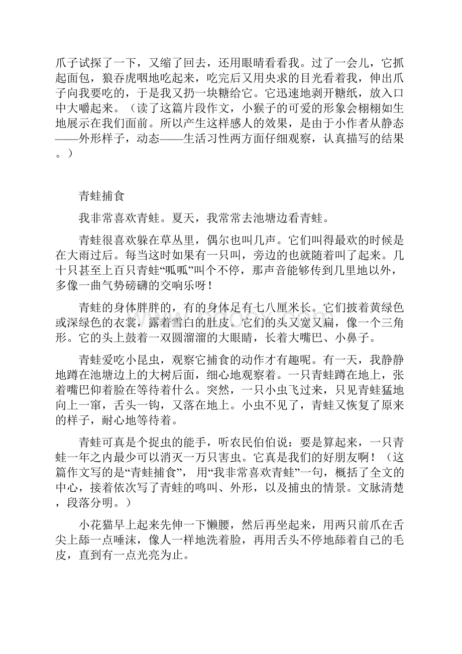 动物生活习性 小鹅儿.docx_第2页