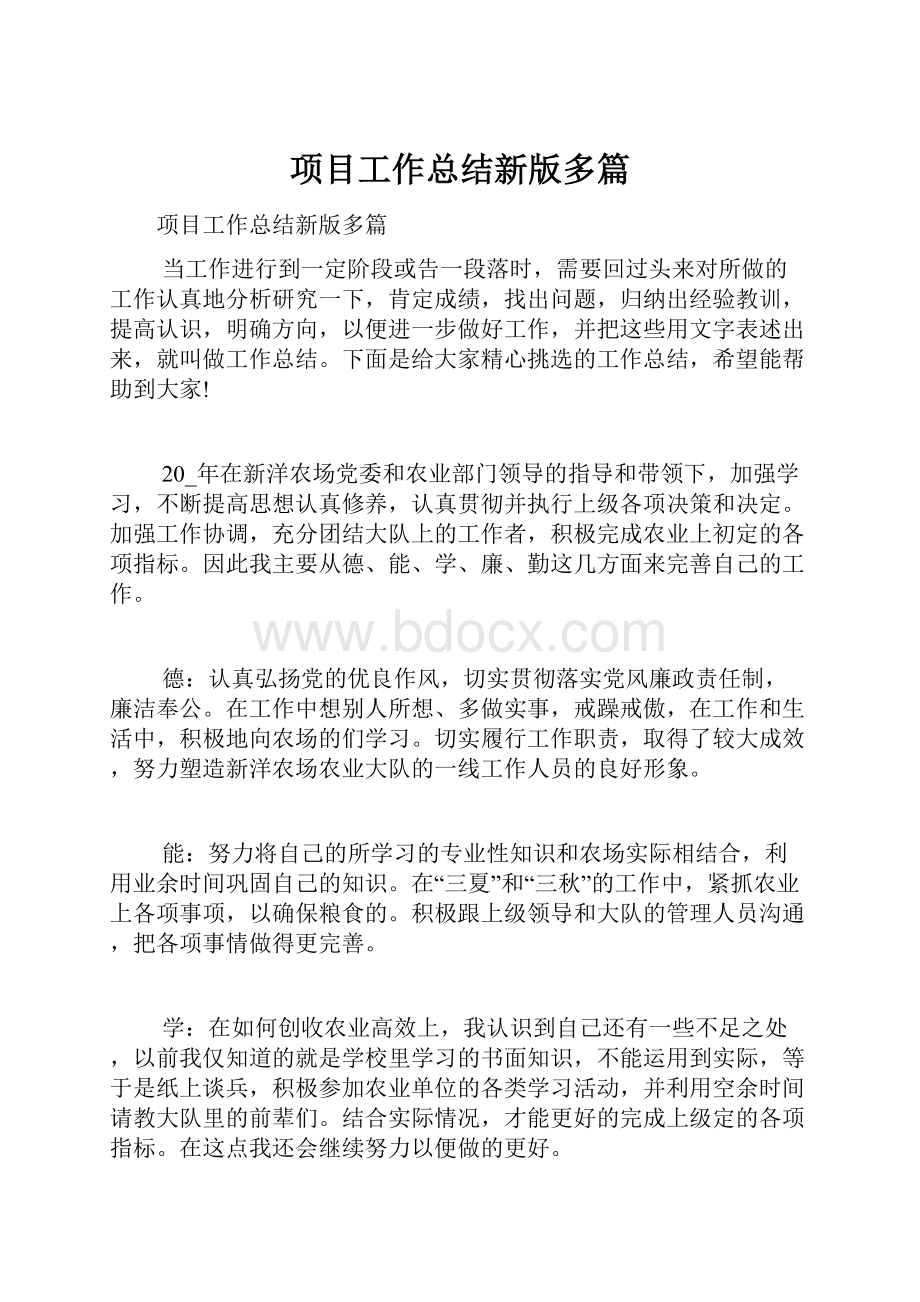 项目工作总结新版多篇.docx