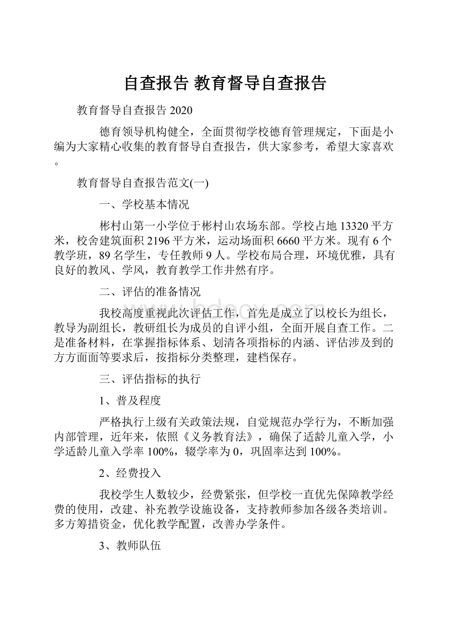 自查报告 教育督导自查报告.docx