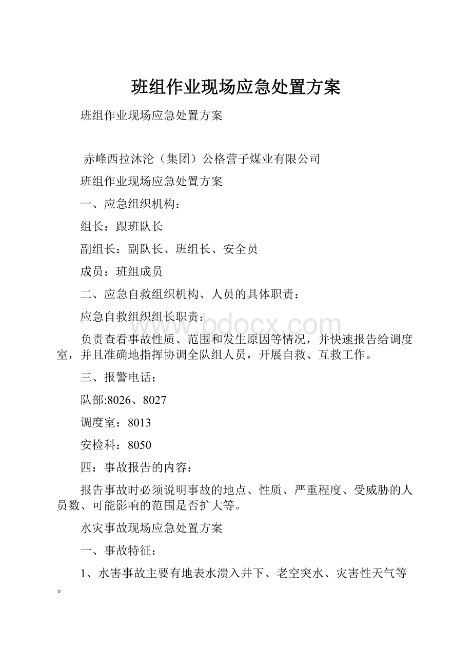 班组作业现场应急处置方案.docx_第1页