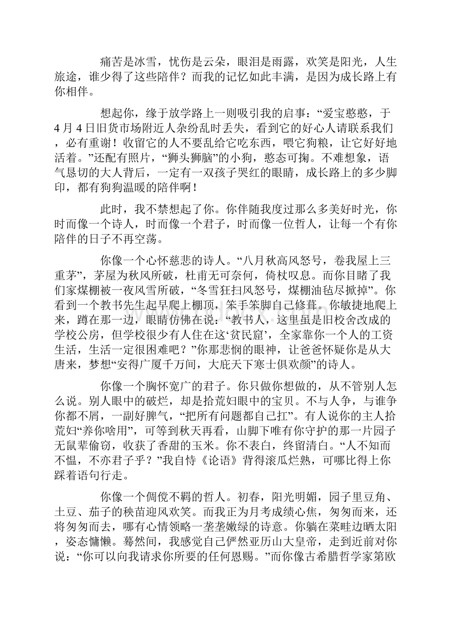 成长的路上有你相伴.docx_第3页