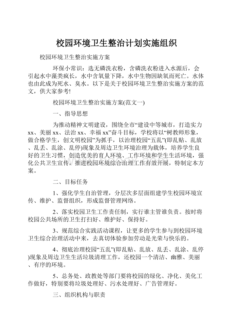 校园环境卫生整治计划实施组织.docx