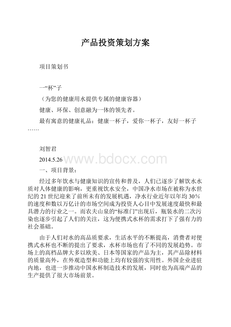 产品投资策划方案Word文档格式.docx