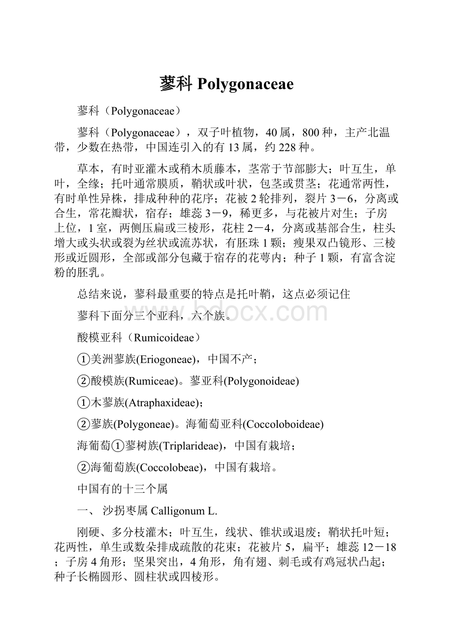 蓼科PolygonaceaeWord文档格式.docx_第1页