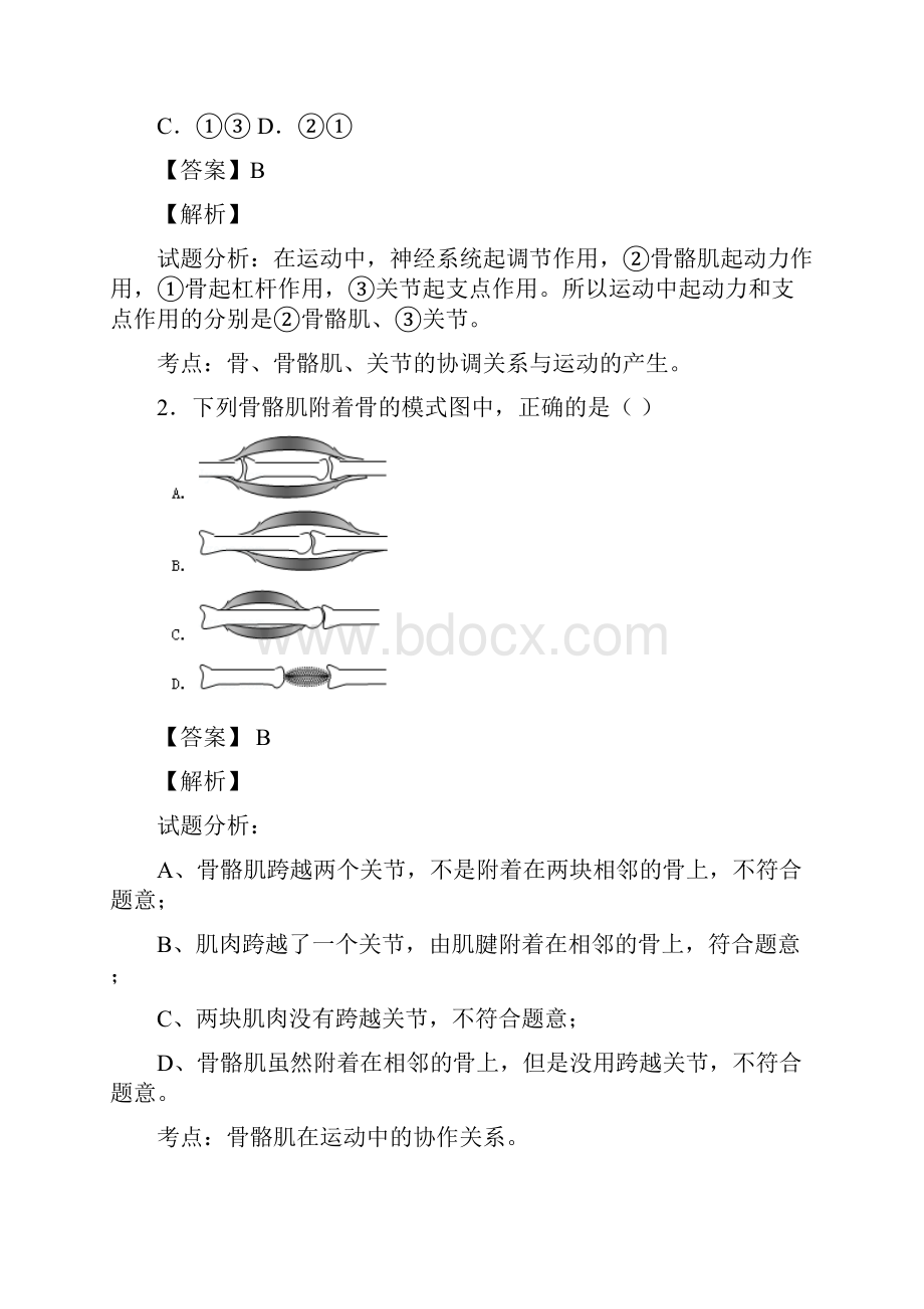 动物的运动和行为.docx_第2页