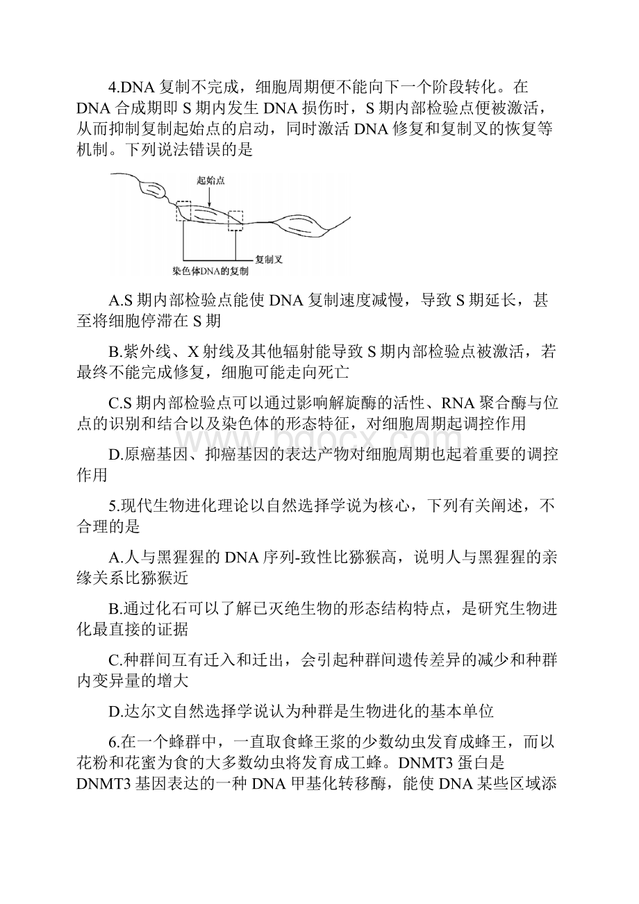 山东省届高三生物上学期开学质量检测试题Word格式文档下载.docx_第3页