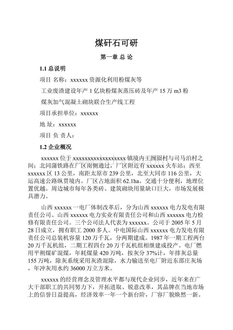 煤矸石可研Word格式文档下载.docx_第1页