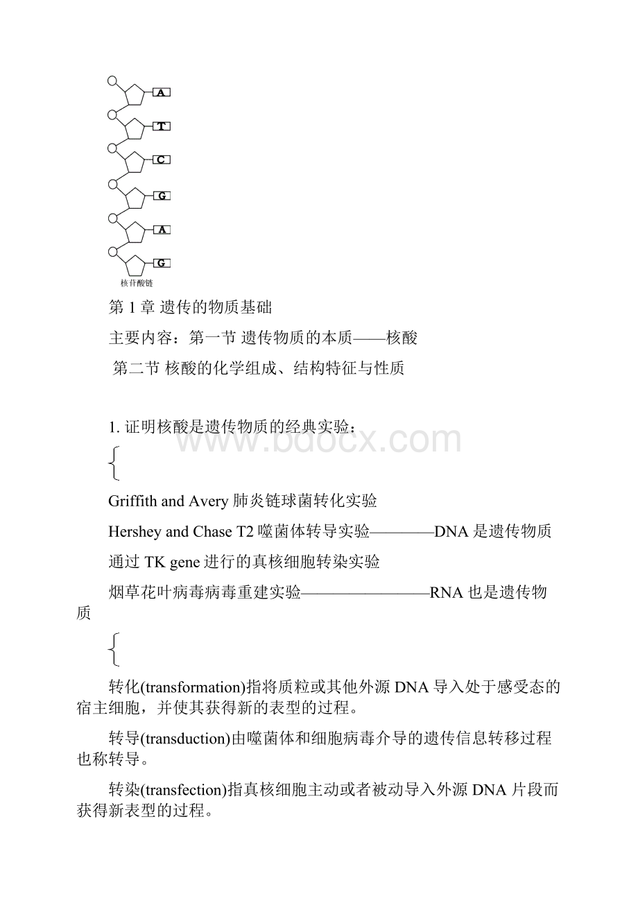 中国海洋大学分子生物学复习资料Word文档下载推荐.docx_第2页