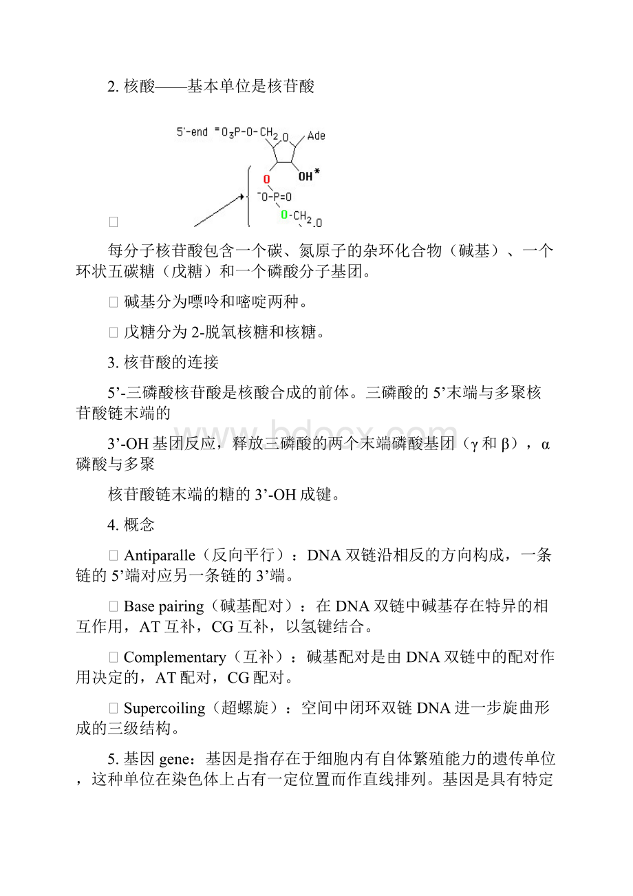 中国海洋大学分子生物学复习资料Word文档下载推荐.docx_第3页