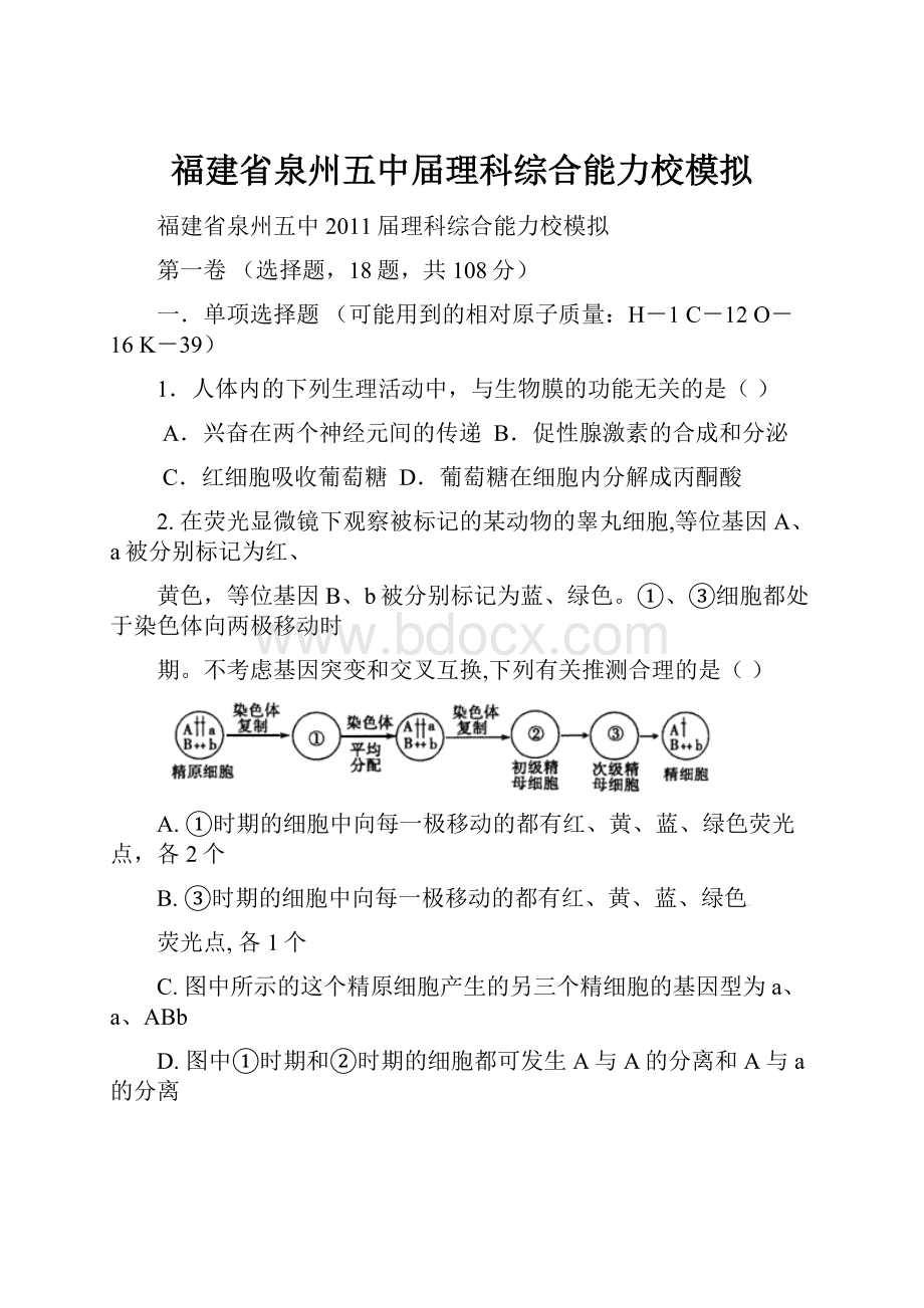 福建省泉州五中届理科综合能力校模拟.docx