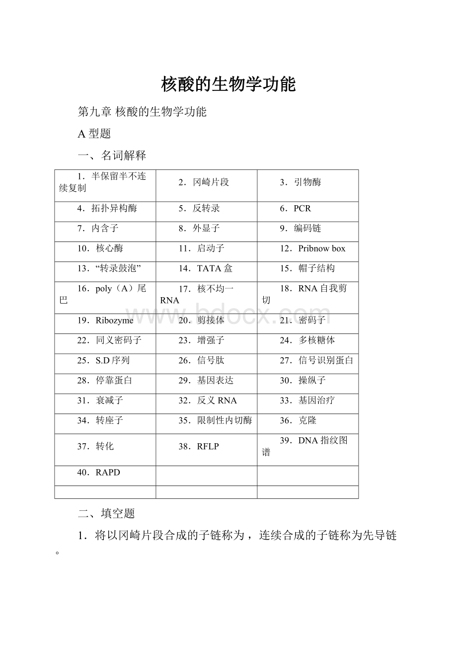 核酸的生物学功能Word文档下载推荐.docx