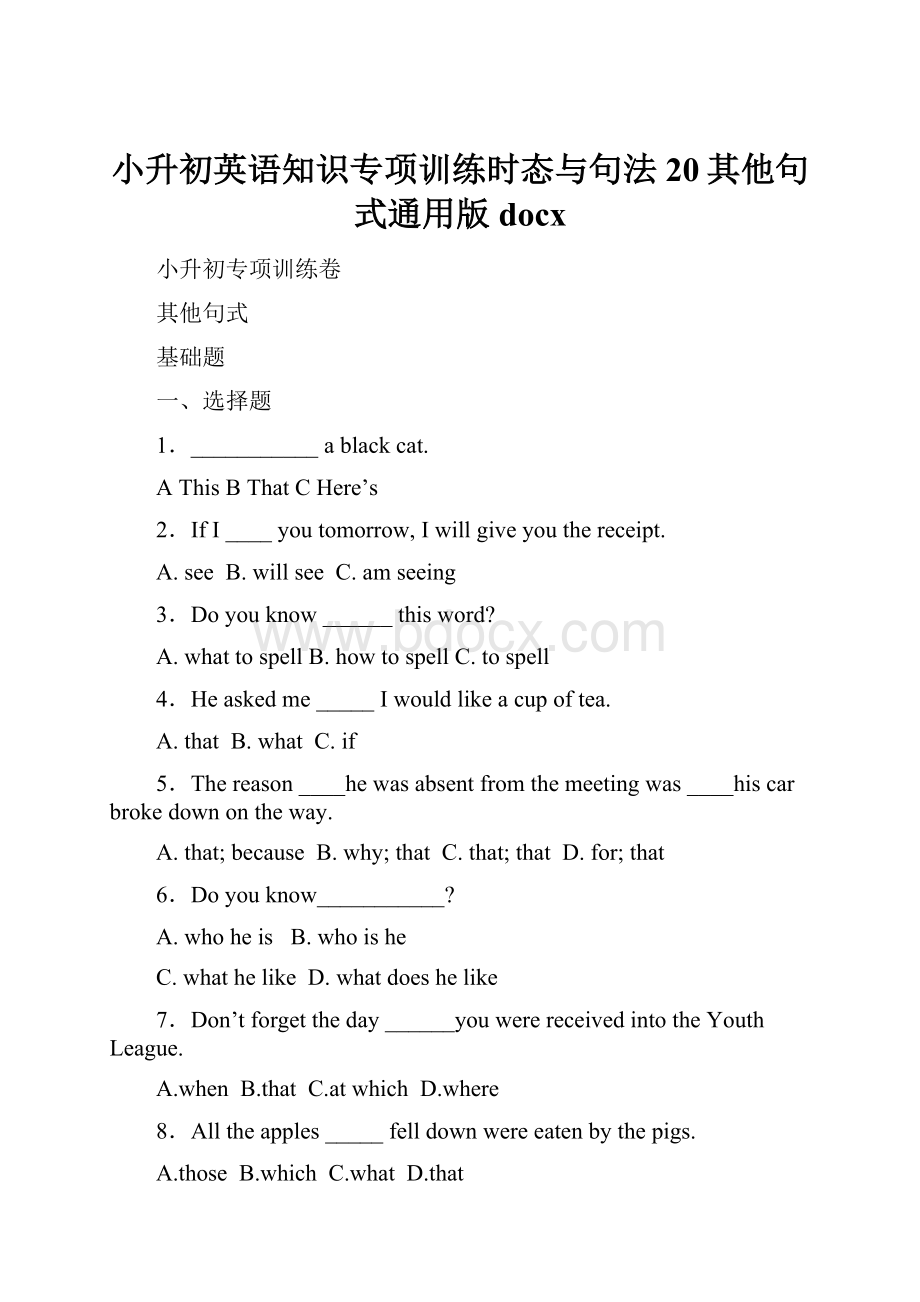 小升初英语知识专项训练时态与句法 20其他句式通用版docxWord格式.docx