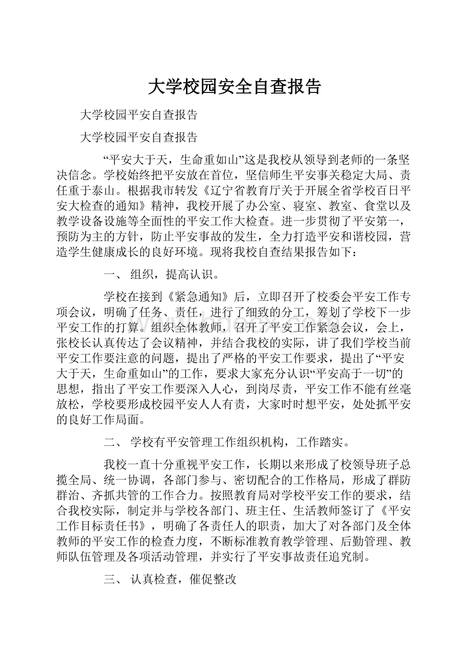 大学校园安全自查报告Word格式文档下载.docx