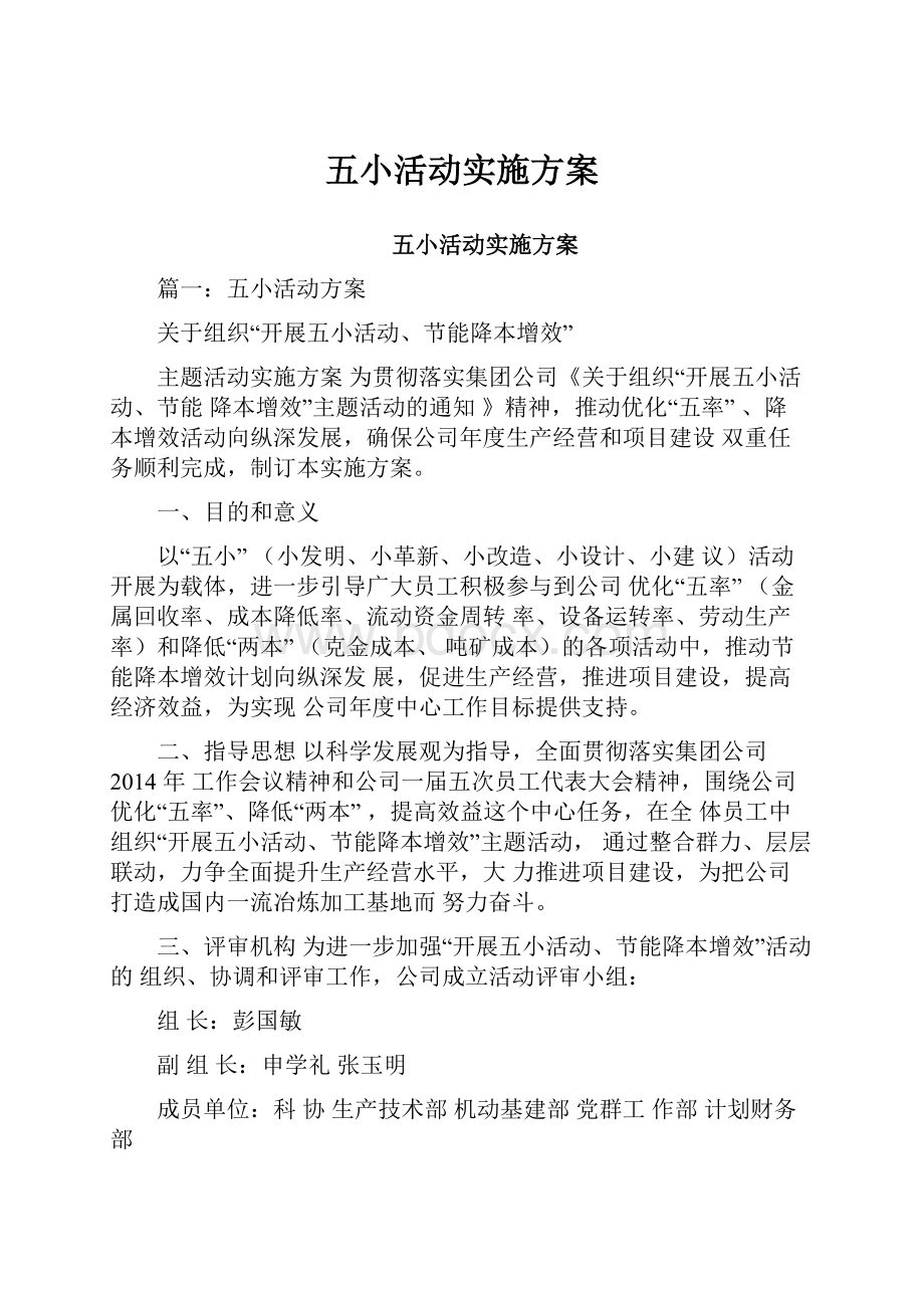 五小活动实施方案.docx