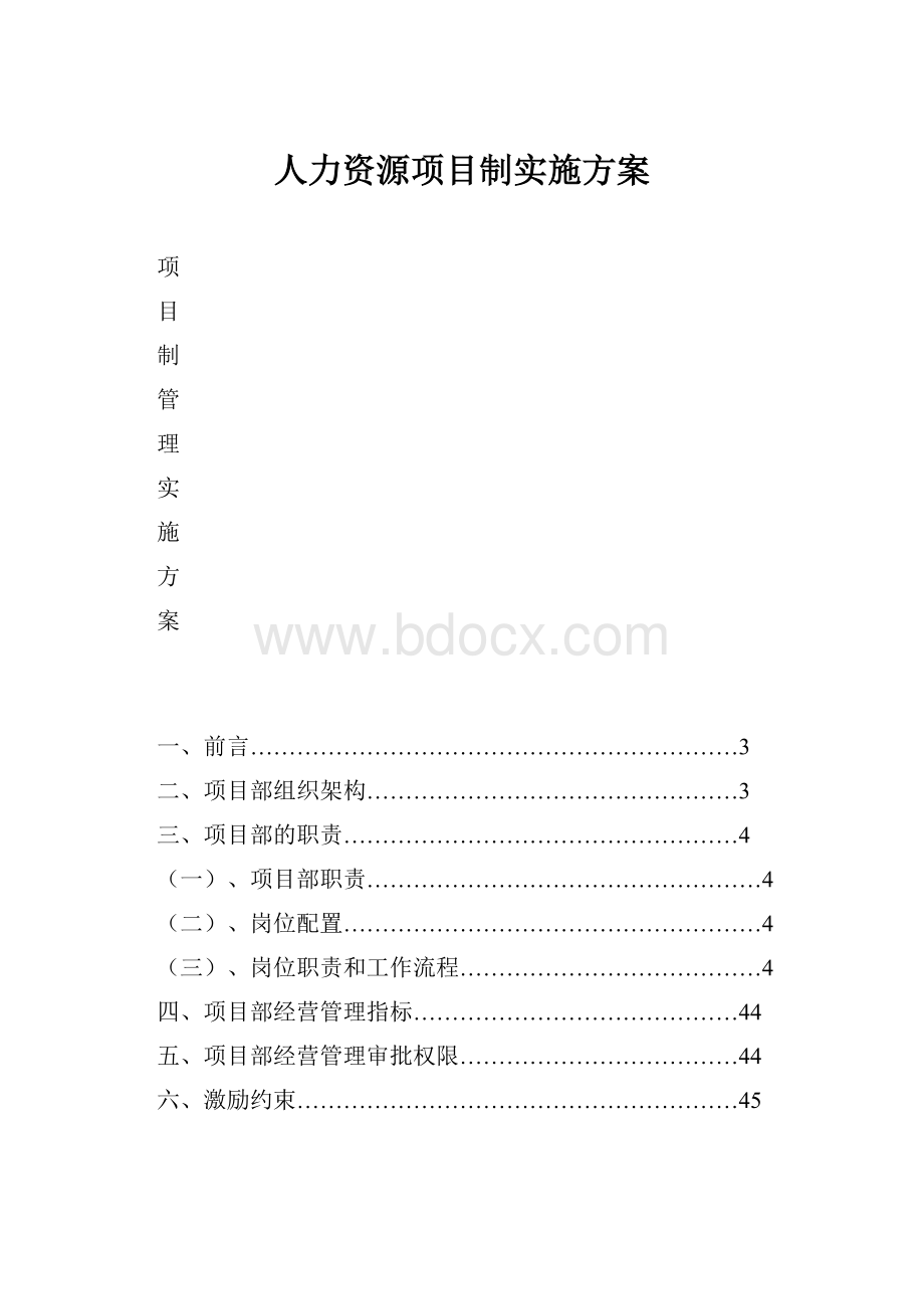 人力资源项目制实施方案.docx