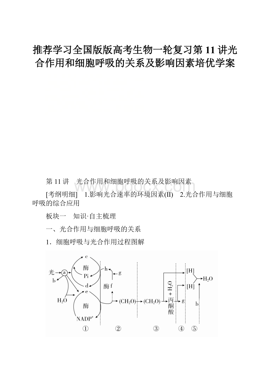 推荐学习全国版版高考生物一轮复习第11讲光合作用和细胞呼吸的关系及影响因素培优学案.docx_第1页