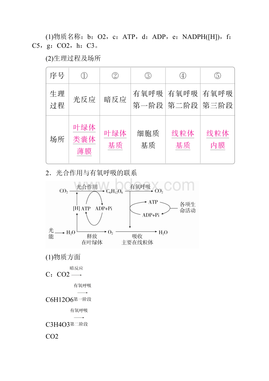 推荐学习全国版版高考生物一轮复习第11讲光合作用和细胞呼吸的关系及影响因素培优学案.docx_第2页