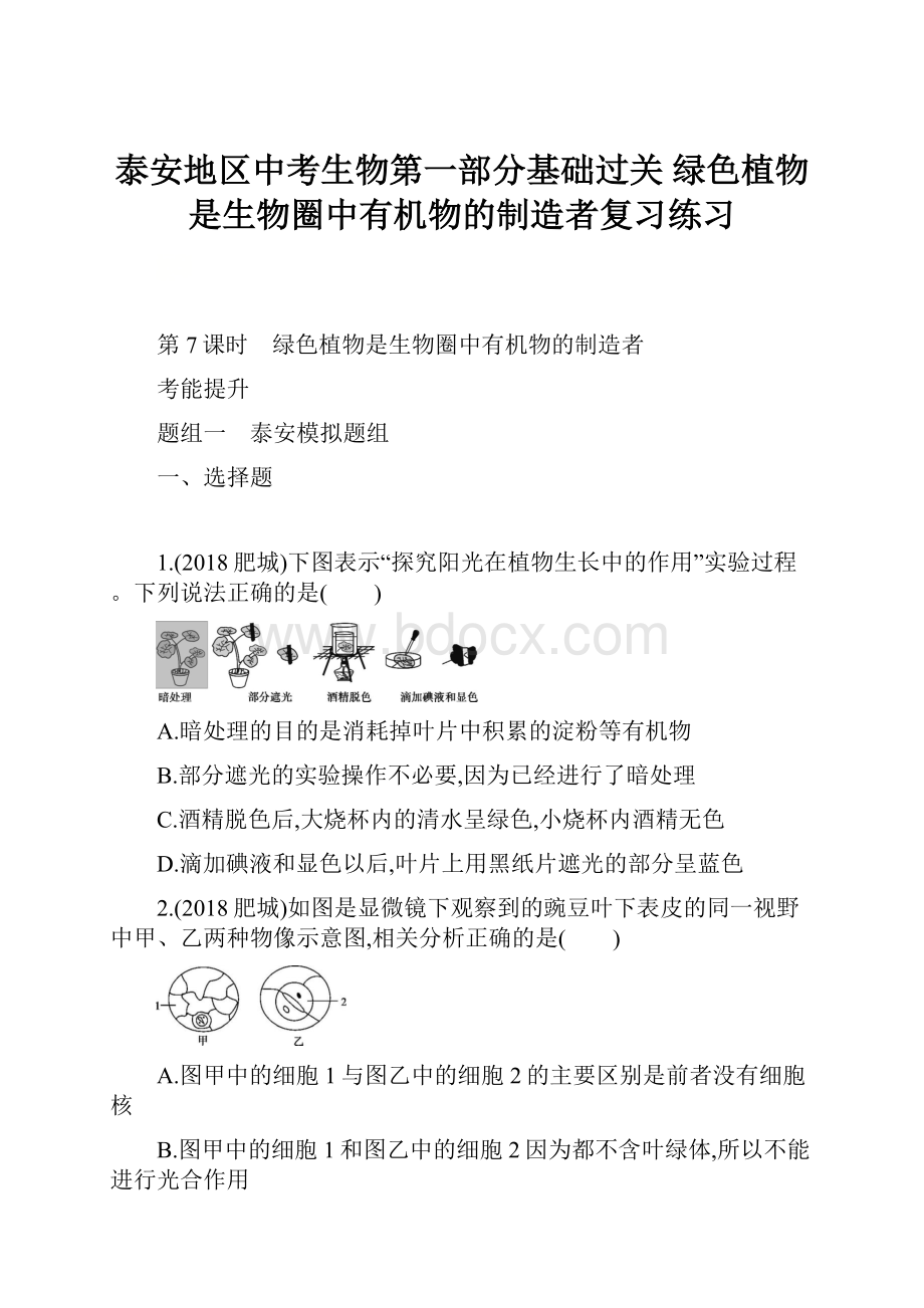 泰安地区中考生物第一部分基础过关 绿色植物是生物圈中有机物的制造者复习练习.docx_第1页