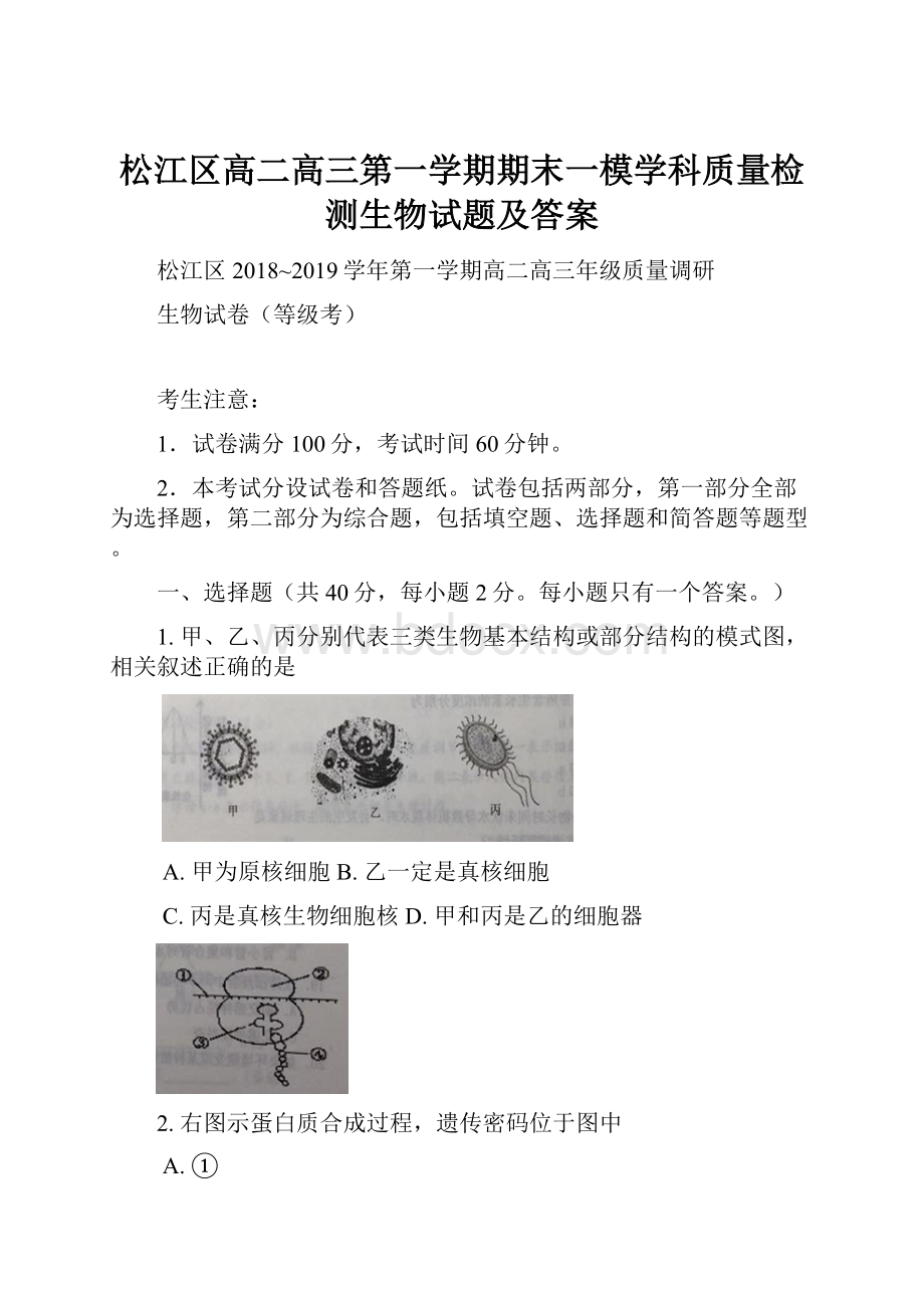 松江区高二高三第一学期期末一模学科质量检测生物试题及答案.docx_第1页