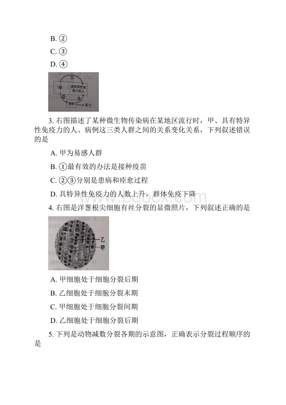 松江区高二高三第一学期期末一模学科质量检测生物试题及答案.docx_第2页