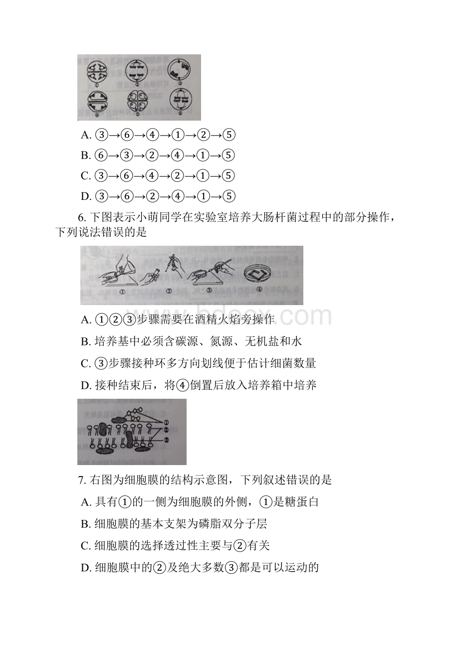 松江区高二高三第一学期期末一模学科质量检测生物试题及答案.docx_第3页