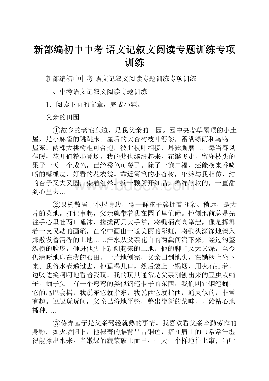 新部编初中中考 语文记叙文阅读专题训练专项训练Word下载.docx