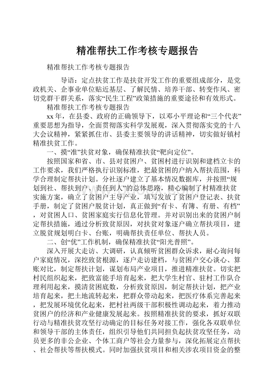 精准帮扶工作考核专题报告.docx