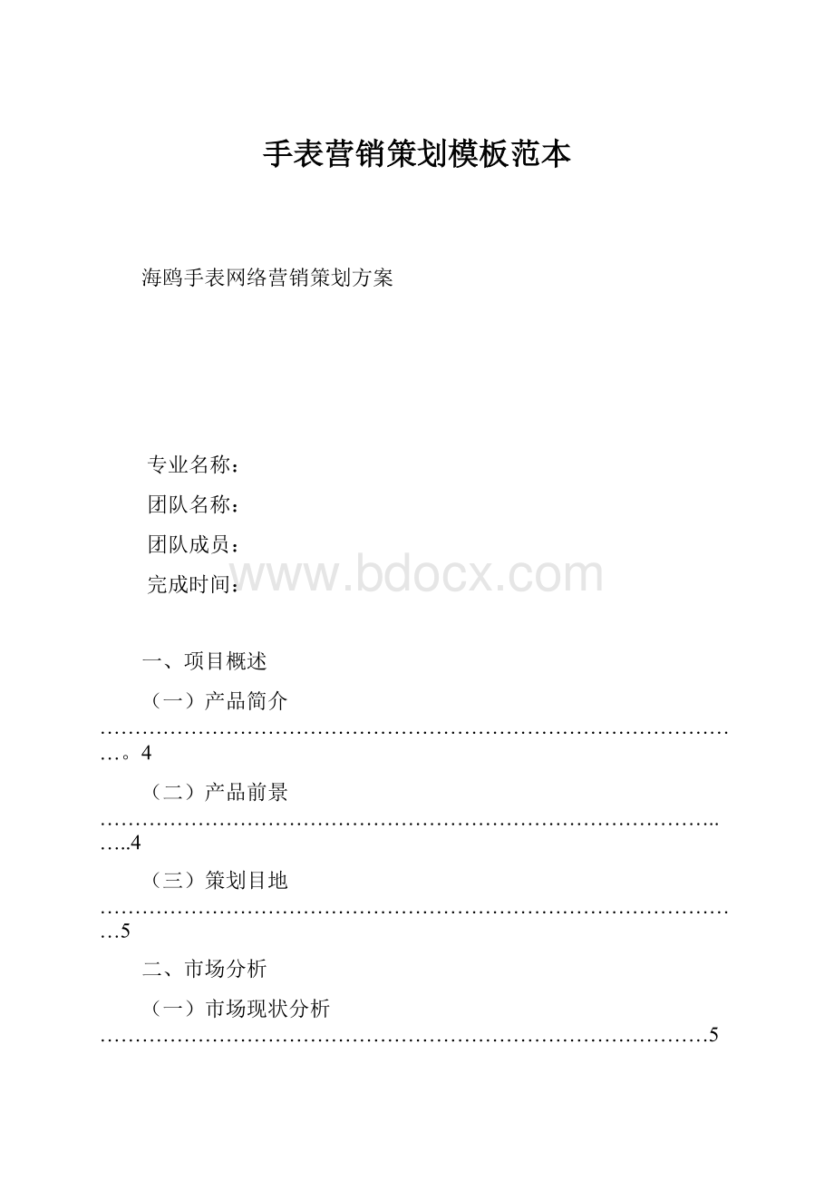 手表营销策划模板范本Word格式.docx