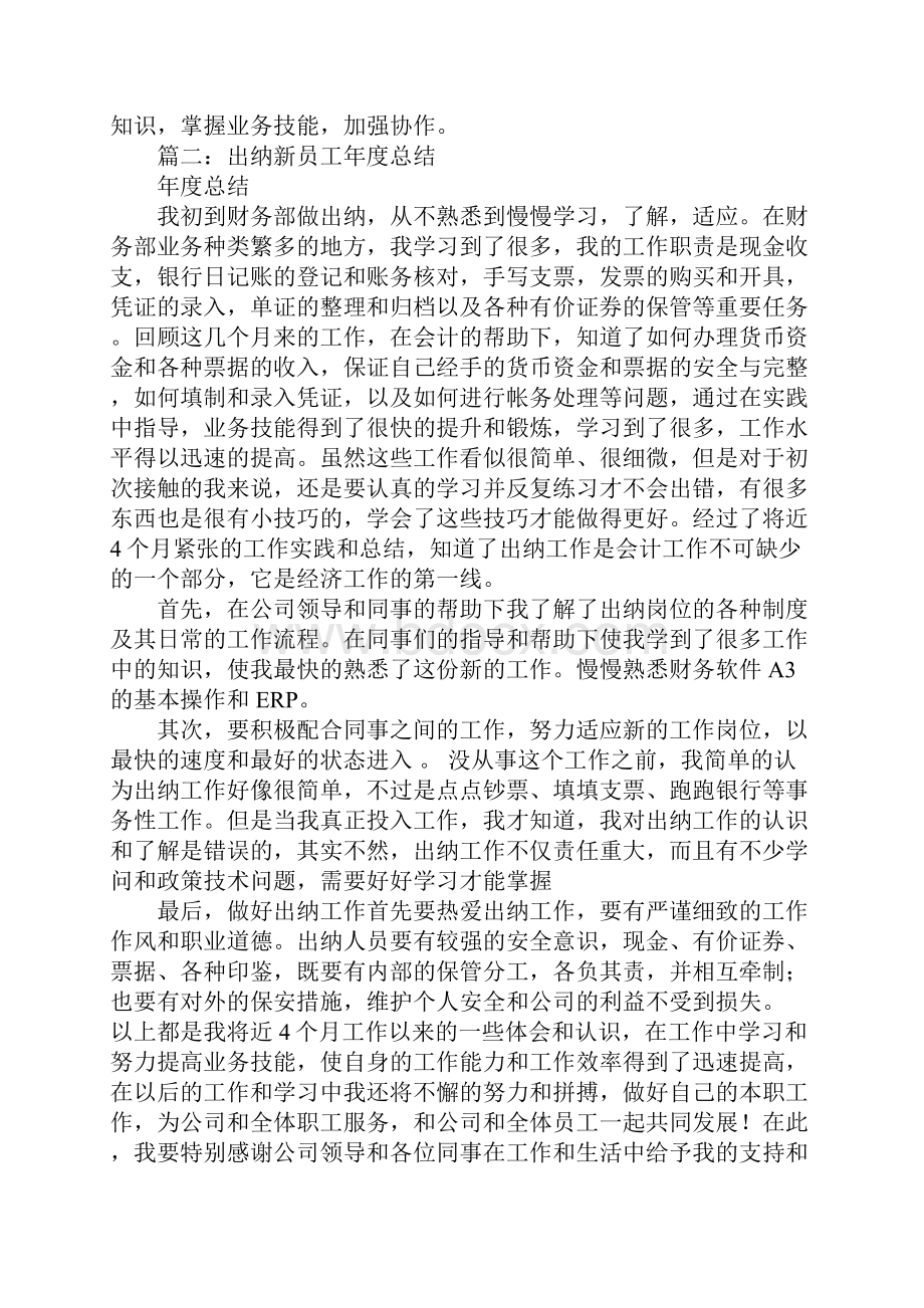 出纳新员工工作总结.docx_第2页