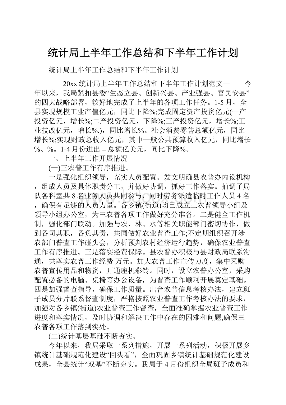 统计局上半年工作总结和下半年工作计划Word文档格式.docx