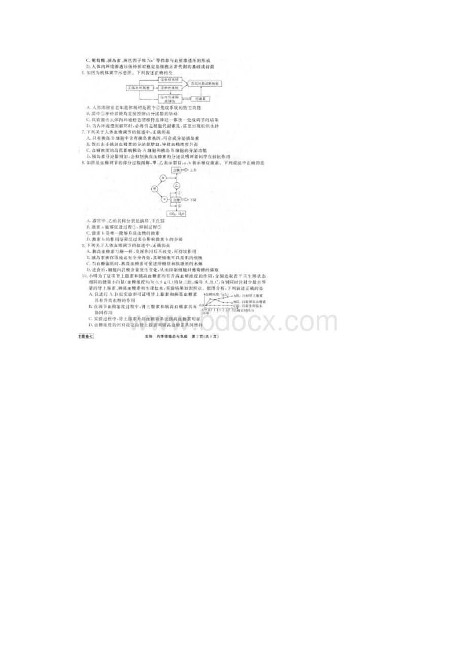 衡水金卷先享题届高三二轮复习专题卷七生物内环境稳态与免疫有答案Word文档格式.docx_第2页