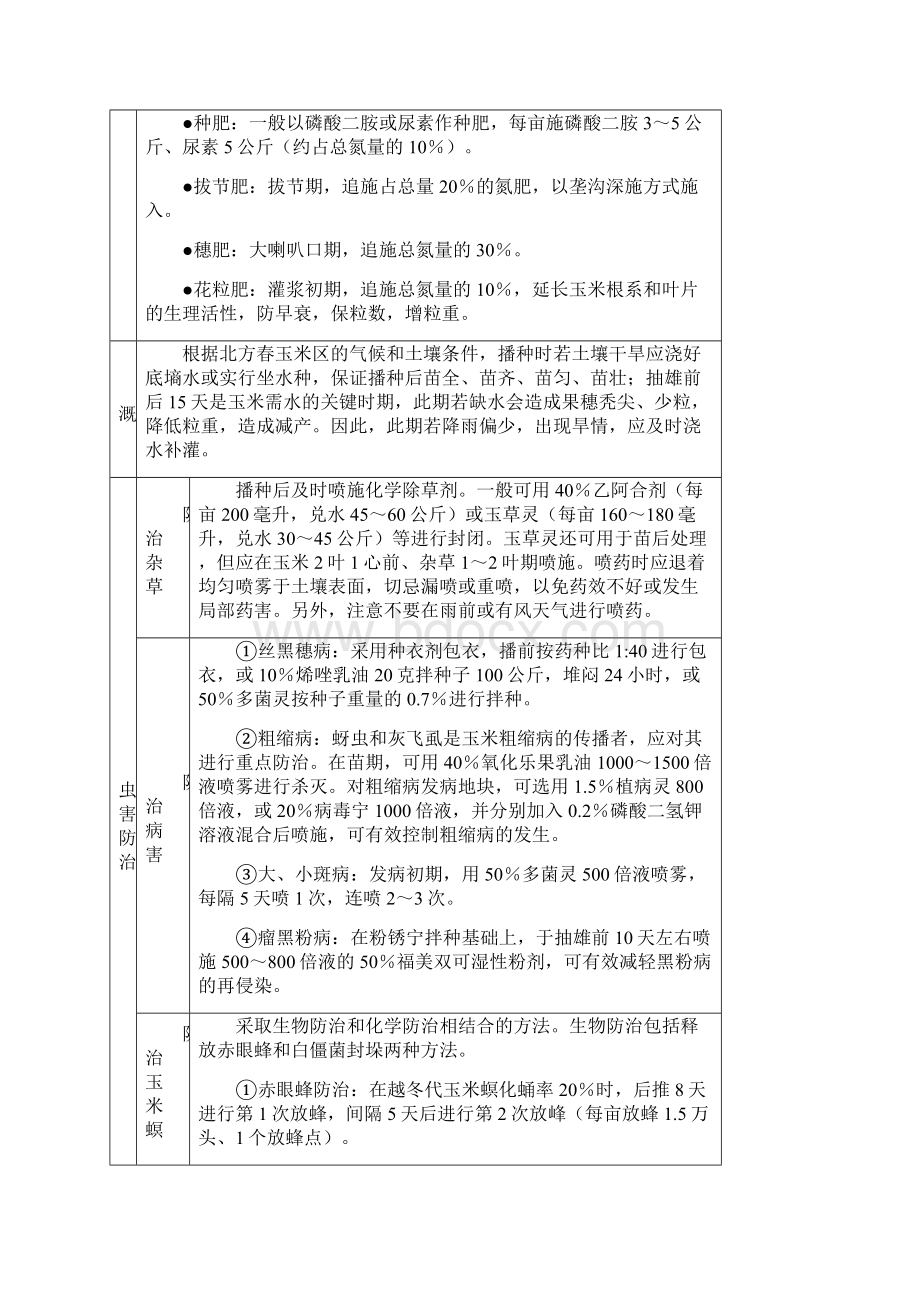 玉米高产创建技术规范模式图Word格式.docx_第3页