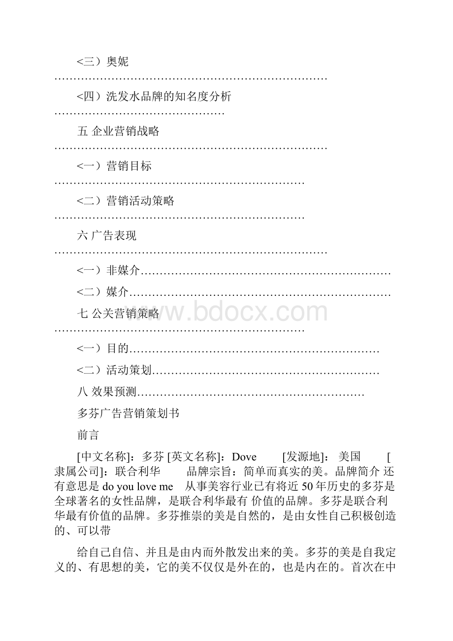 沙宣广告策划书.docx_第2页