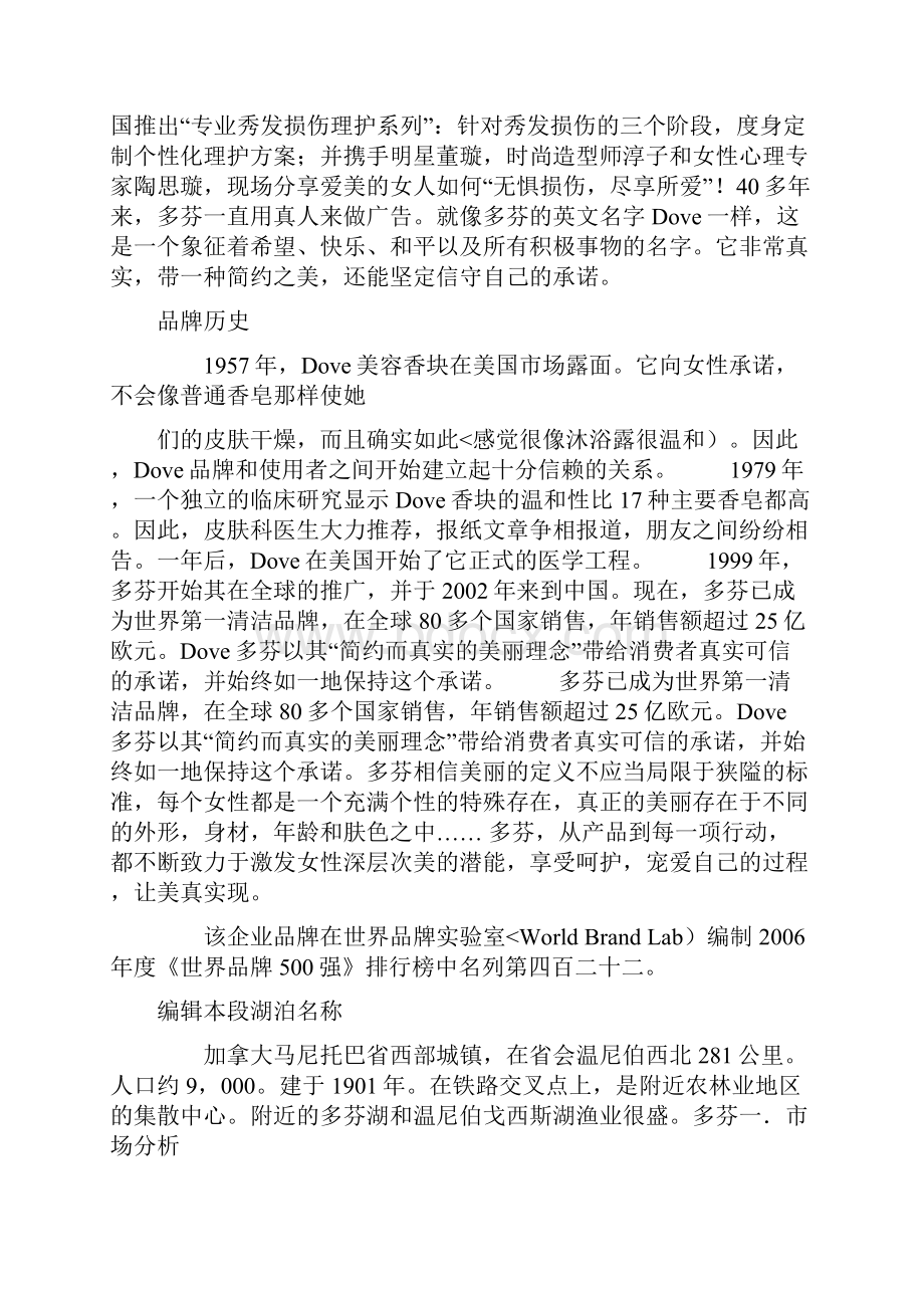 沙宣广告策划书.docx_第3页