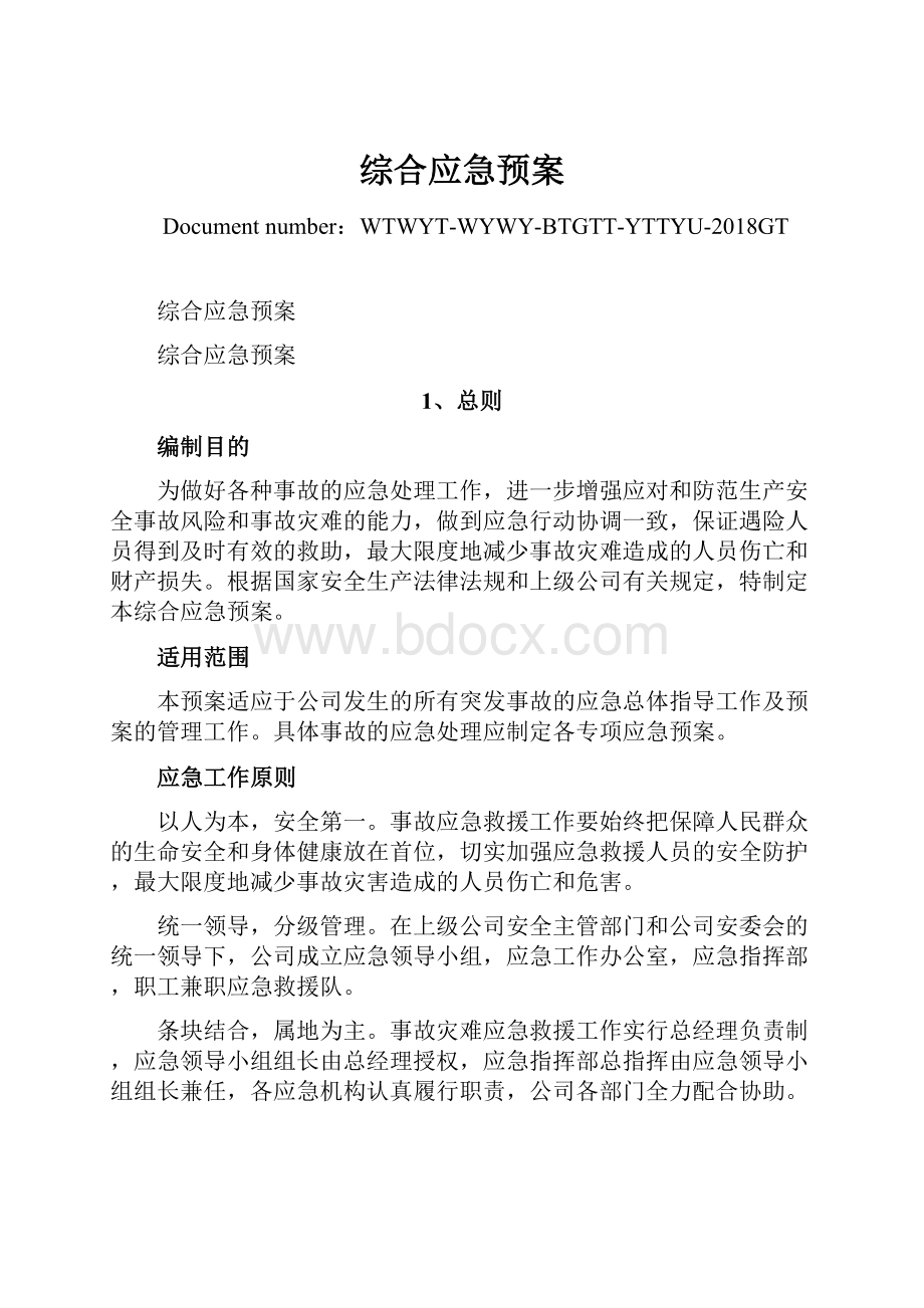 综合应急预案Word格式文档下载.docx_第1页