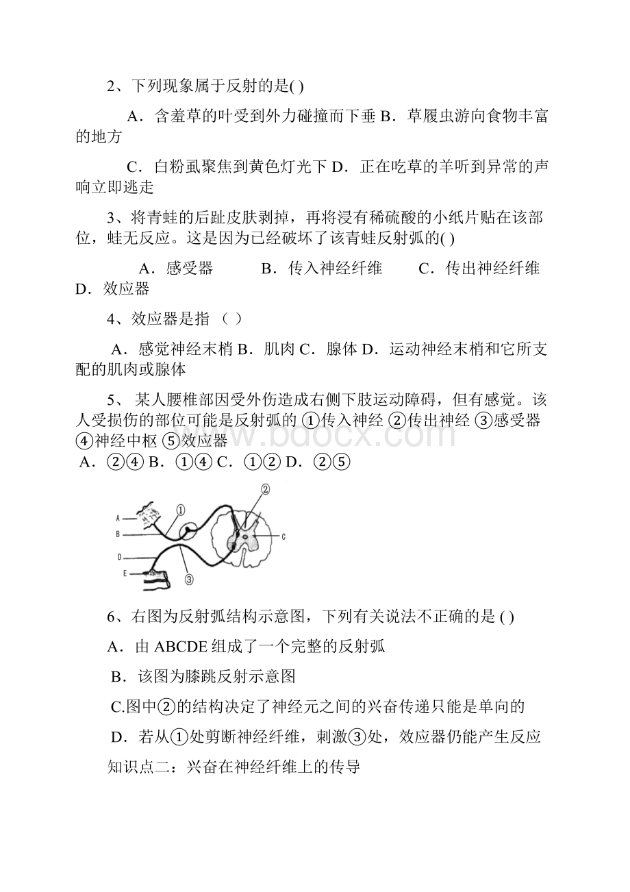 导学案《通过神经系统的调节》.docx_第3页