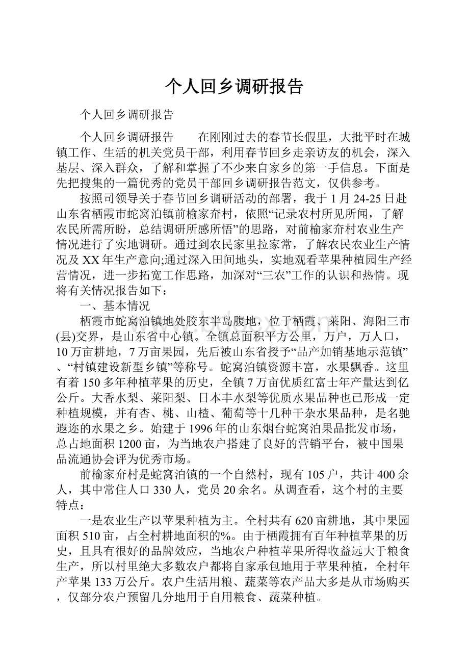 个人回乡调研报告.docx_第1页