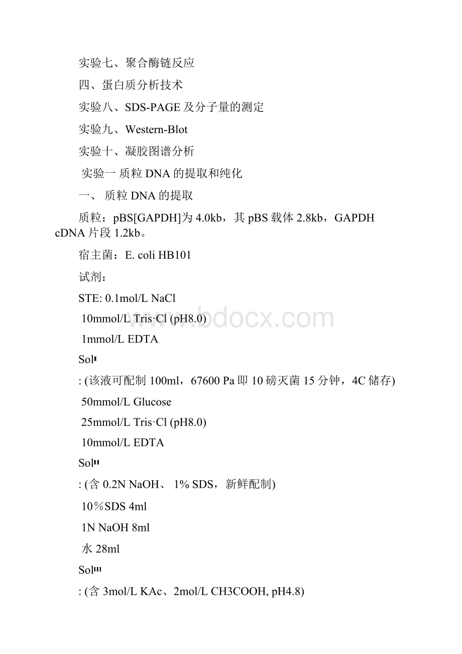 分子实验技术DNA PCR.docx_第2页