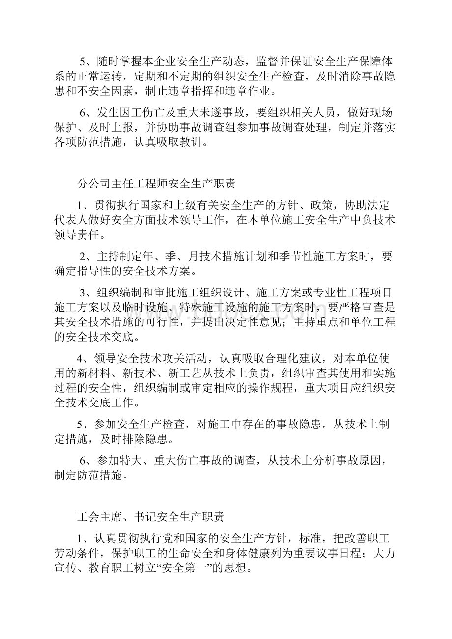 职业健康安全管理职责.docx_第2页