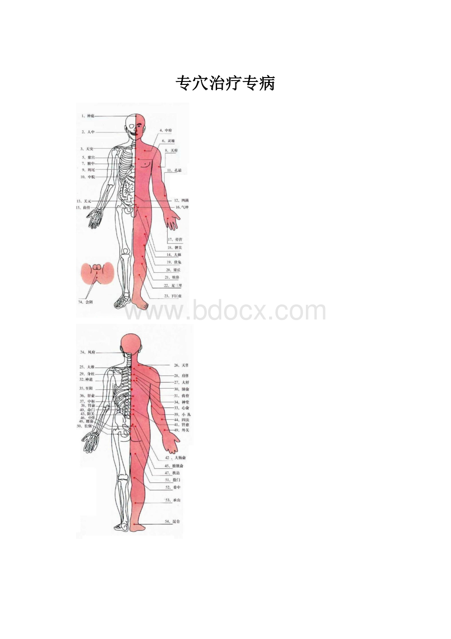 专穴治疗专病.docx_第1页
