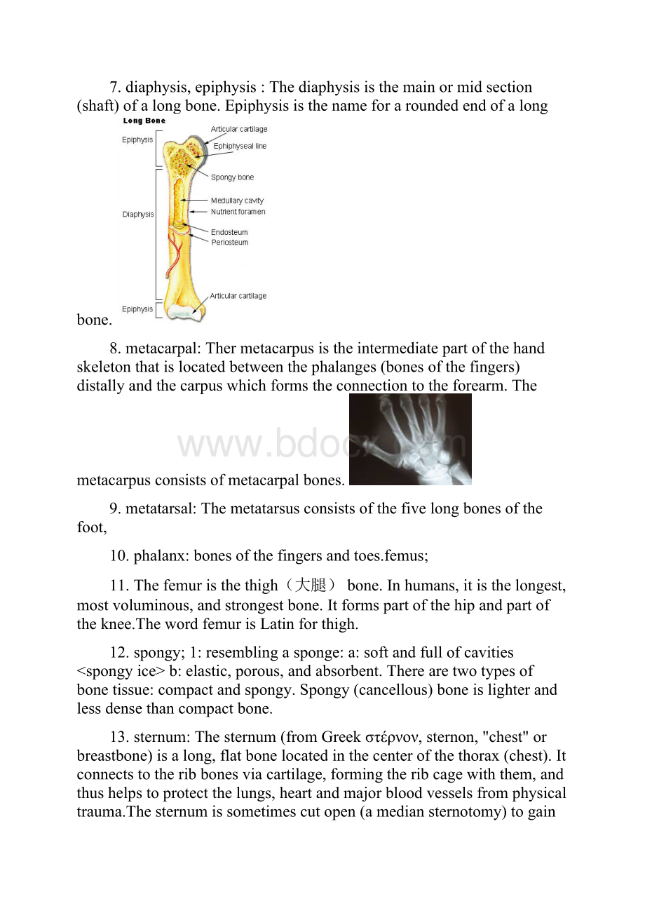 医学英语.docx_第2页