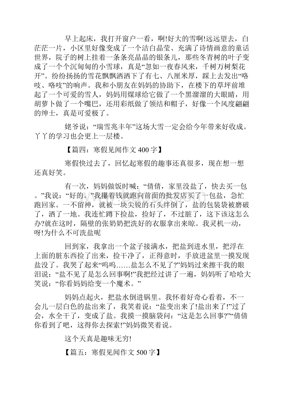 高中关于寒假见闻的作文100字1000字Word格式文档下载.docx_第2页