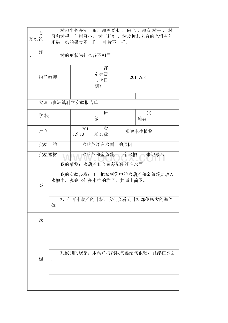 教科版三年级下册科学实验报告单文档格式.docx_第3页