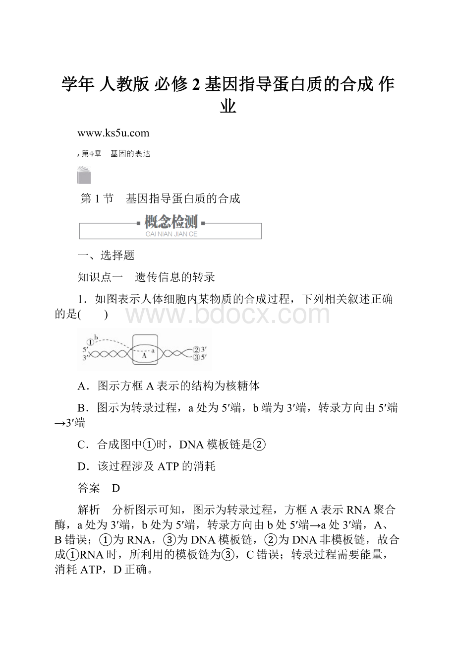 学年 人教版 必修2基因指导蛋白质的合成 作业.docx_第1页