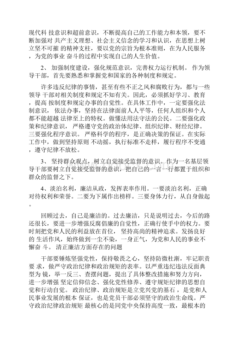 工作报告清正廉洁方面存在的问题.docx_第2页